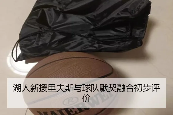 湖人新援里夫斯与球队默契融合初步评价